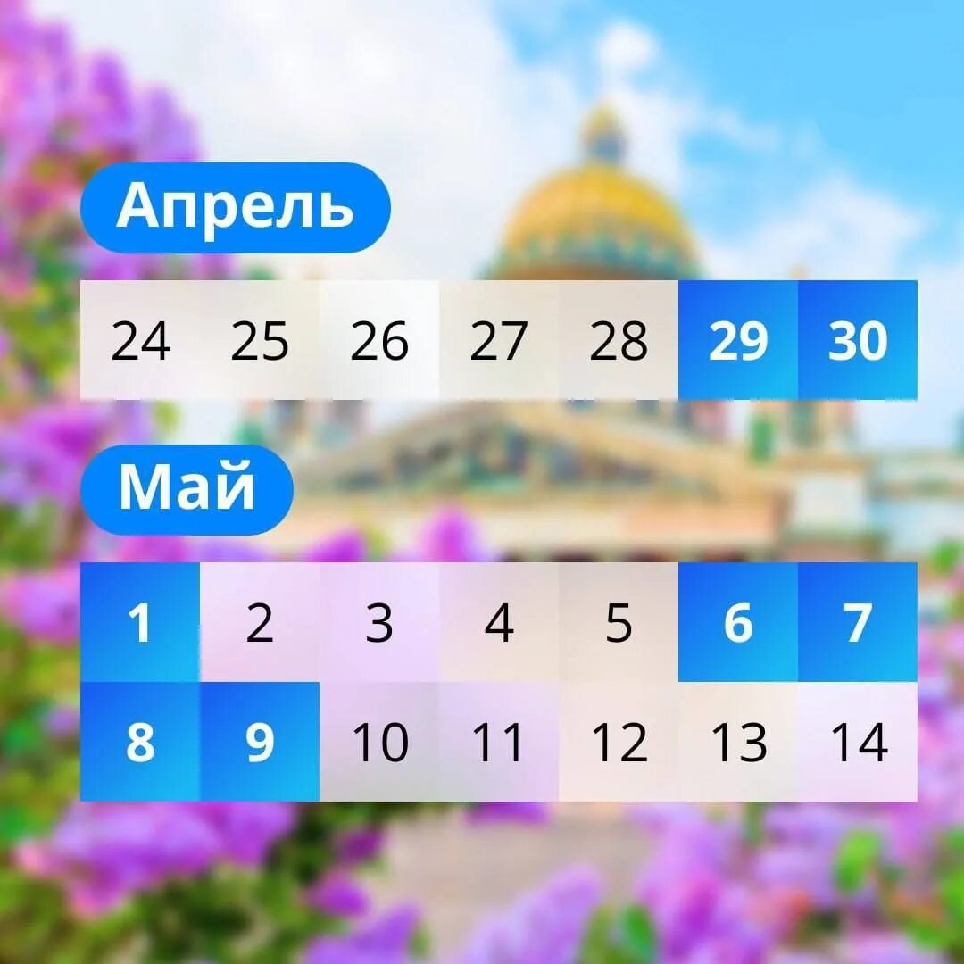 Сколько выходных до 24 мая