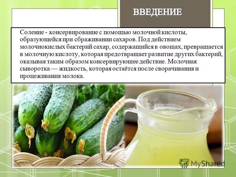 Можно кормящим огурец. Солёные огурцы при грудном вскармливании. Биоша для огурцов. Огурец полезный овощ. Польза овощей для организма.