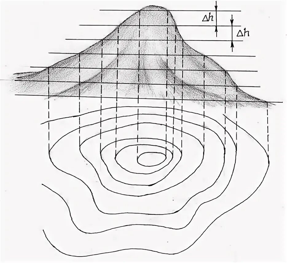 Высота точки на холме. Рельеф горизонтали холма. Горизонтали на плане. Построение рельефа горизонталями. Изобразить горизонталями холм.