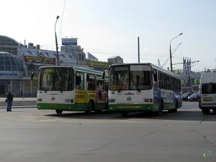26 автобус тула