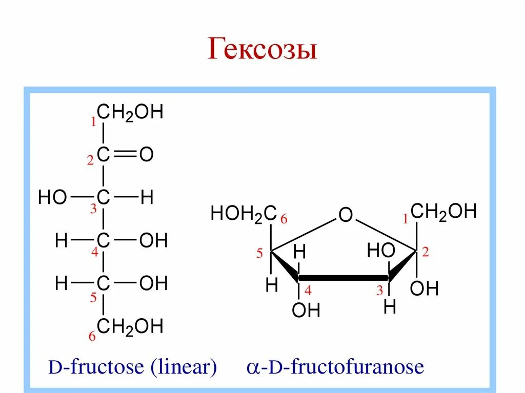 D фруктоза формула. Фруктоза циклическая формула. Фруктоза нумерация атомов. Фруктоза формула нумерация. Фруктоза циклическая