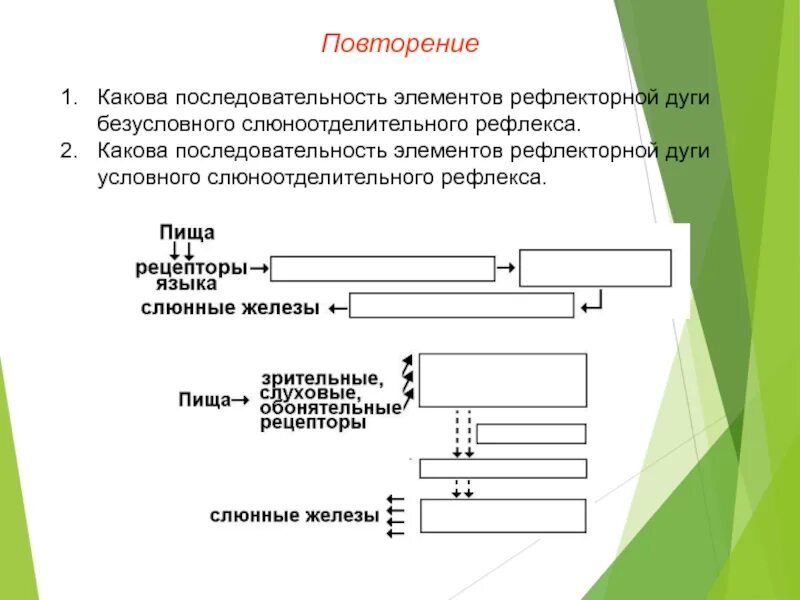 Элементы последовательности. Какова последовательность электронной презентации. Элементы безусловных дуг. 9. Каков порядок монтажа элементов.