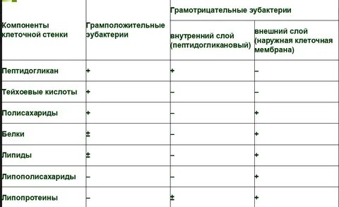 Клеточная стенка таблица