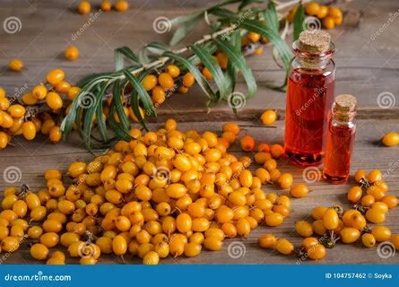 Масло из свежей облепихи как сделать