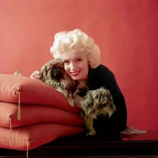 Marilyn фото