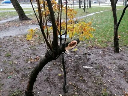 Екатеринбург выкинул годовалую