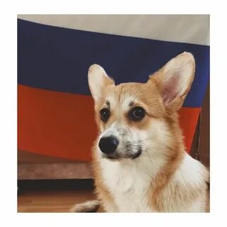 Песе
