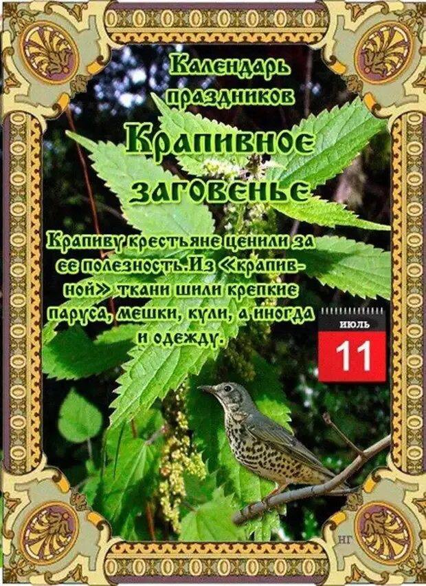 Народный календарь. 11 Июля народный календарь. Крапивное заговенье 11 июля. Народные приметы на 11 июля.