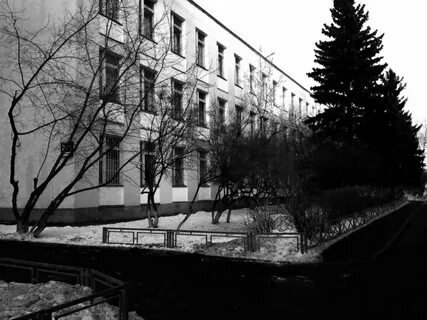 Сайт школы москвы 236