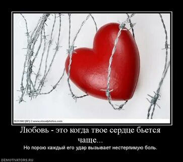 Сердце девушки секрет даже если очень любит