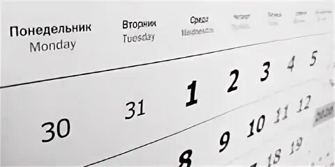 Первая неделя выходных