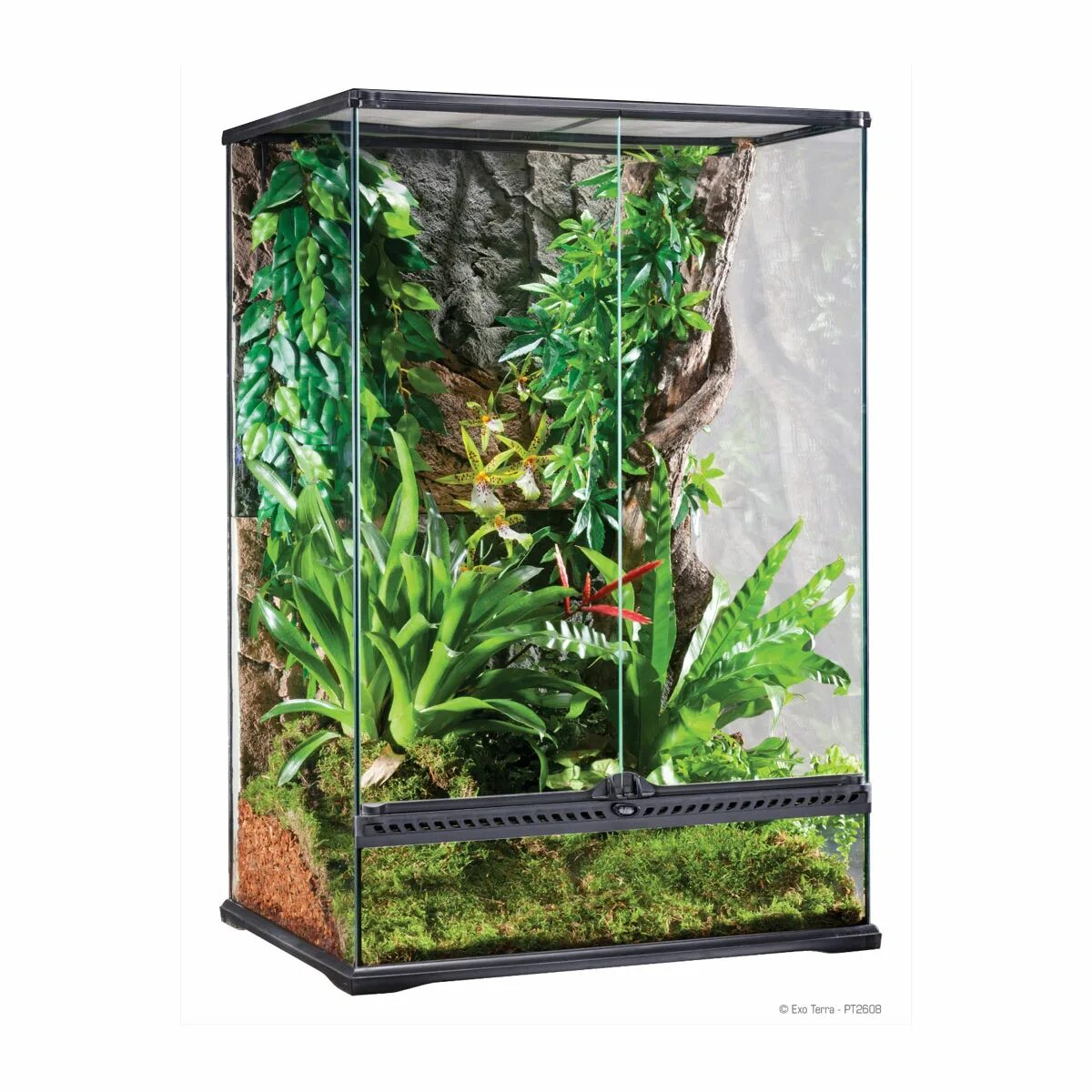 Террариум exo terra 60х45х45. Террариум exo terra 60х45х45. Эхеверия флорариум. Exo terra террариум 45x45x90. Террариум exo terra 45x45x60.