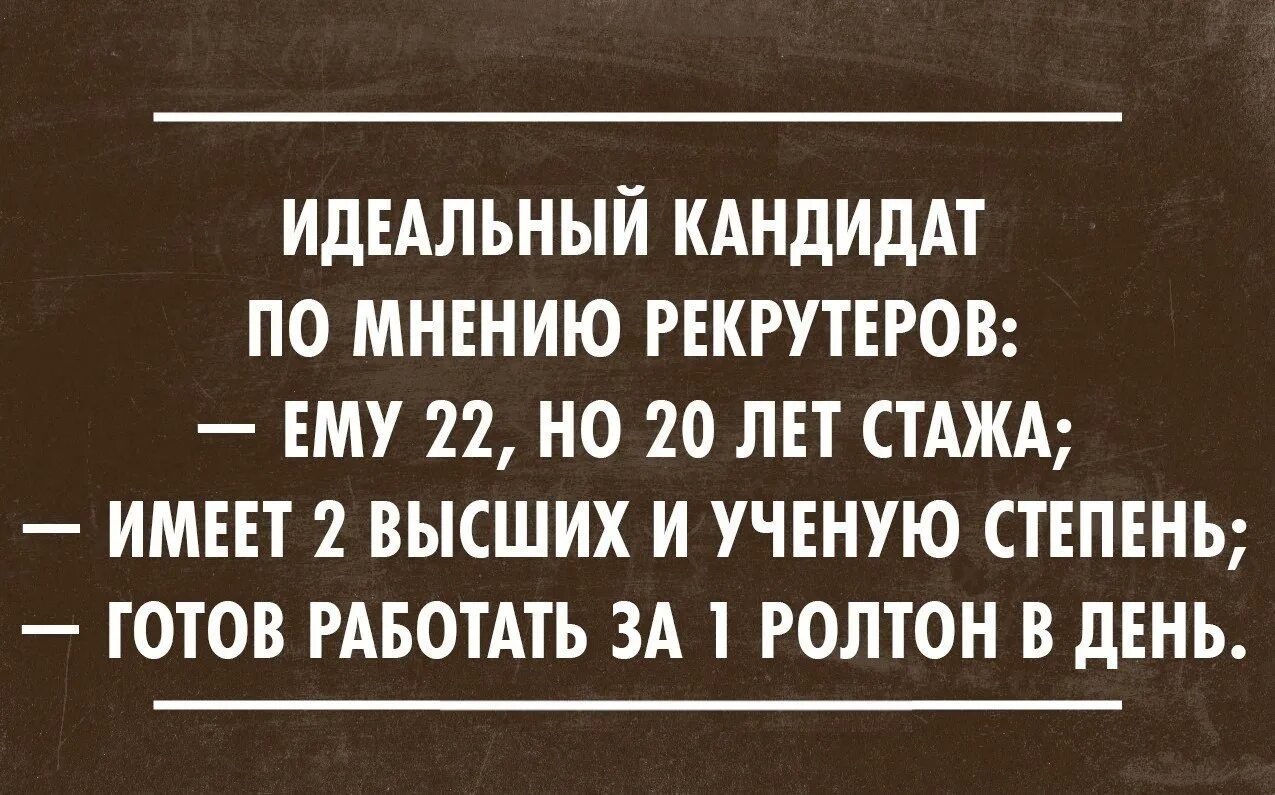Цитаты опыт работы. Шутки про поиск работы. опыт работы юмор. шутки про опыт работы. опыт работы прикол.
