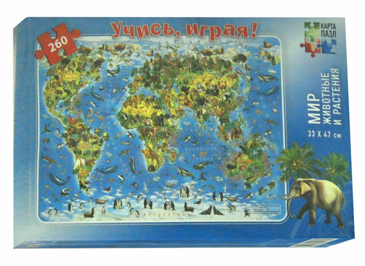 Пазлы в мире растений. Мир пазлов грамота. Пазл миров книга. Мир вокруг. Книжка с пазлами для малышей step pazzl.