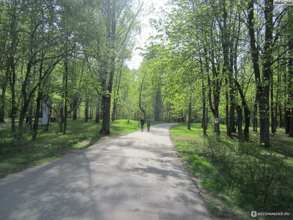 Лесопарк железнодорожников воронеж. Жк витебский парк санкт-петербург. Витебск парк. Витебск парк. Жк витебский парк санкт-петербург.