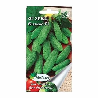 Огурцы 1 1 3