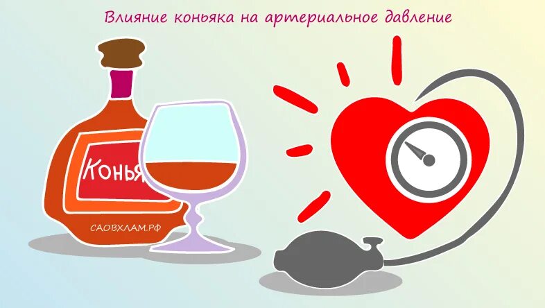 Можно повысить давление алкоголем. Коньяк поднимает давление. коньяк повышает или понижает давление. коньяк. снижает. давление. воздействие коньяка на артериальное давление.