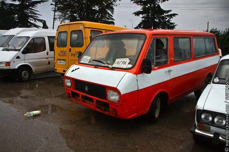 Маршрутки гагра. РАФ-2203 микроавтобус. РАФ-2203 микроавтобус в Ялте. Автостанция Абхазия. Микроавтобус РАФ В Абхазии.