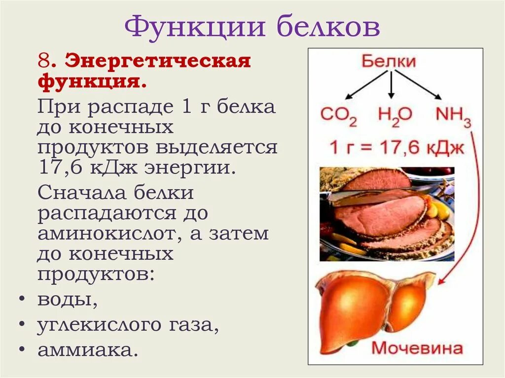 Функция белка химия. Энергетическая функция белков. Энергетическая функция белков роль. При распаде 1 г белка. Энергетическая функия.