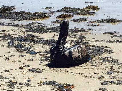 Oil spill