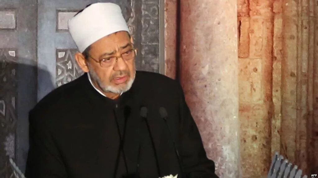 Шейхом салимом аль-бишри. Имам египта. Мусульмане и христиане. Абдул аль азхар. Ахмад тайиб шейх.