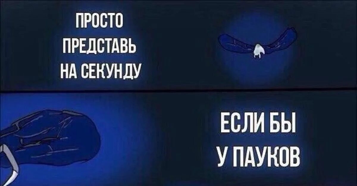 Мир когда мем. Мир если бы мем. арахнофобия мемы. если бы у пауков были крылья. мем будущее если бы.