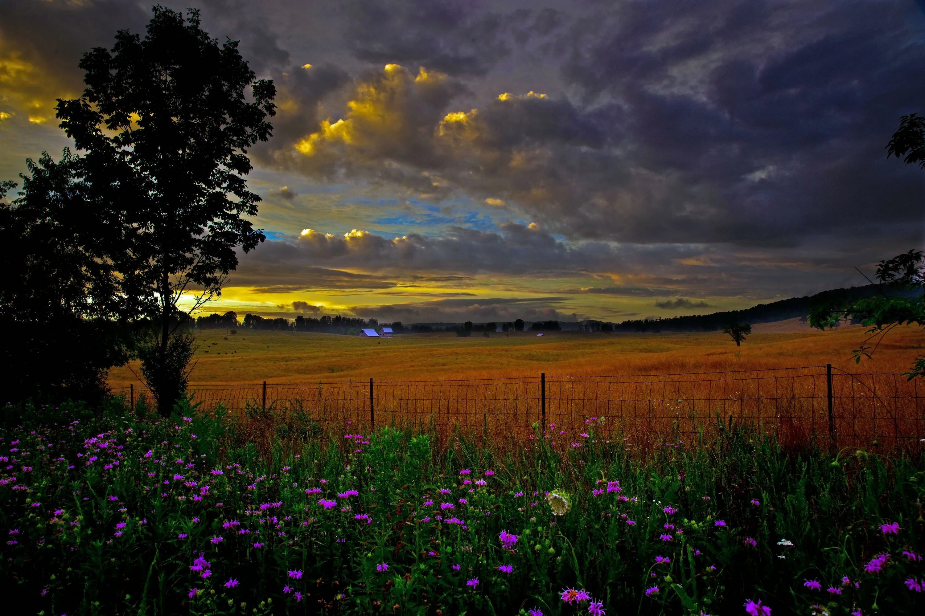 Country scenes. Луг на закате. Вечерняя природа. Пейзаж вечер. Природа вечер.