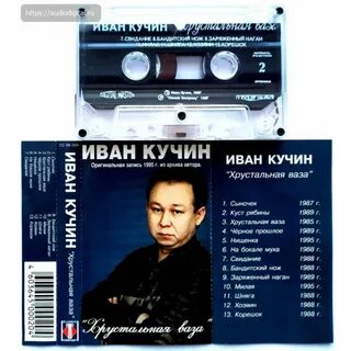 Кучина шняга