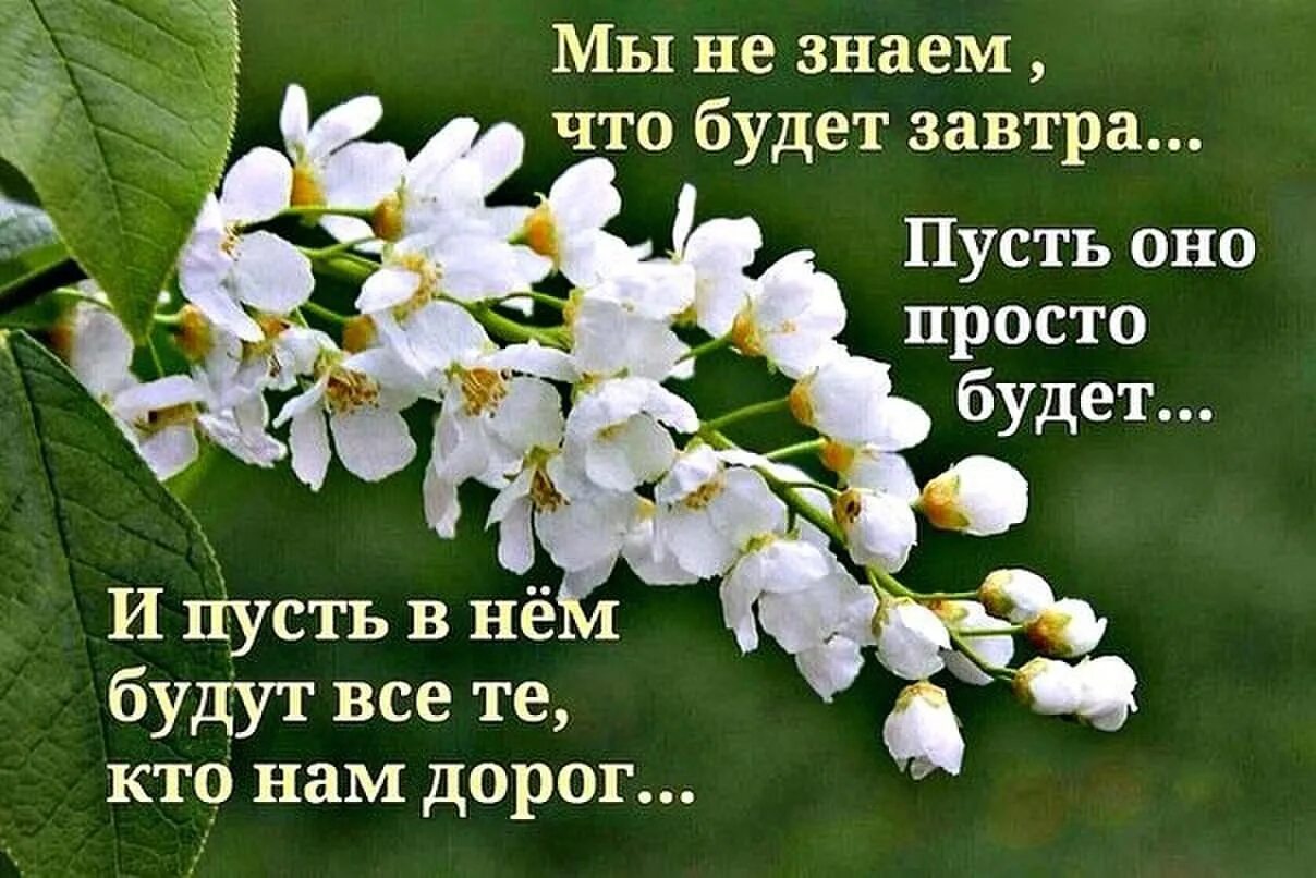 Доброго дня пусть все будет замечательно. Открытки с добрыми словами. мы не знаем что будет завтра. пожелание чтобы все было хорошо. мы не знаем что будет завтра пусть оно просто будет.