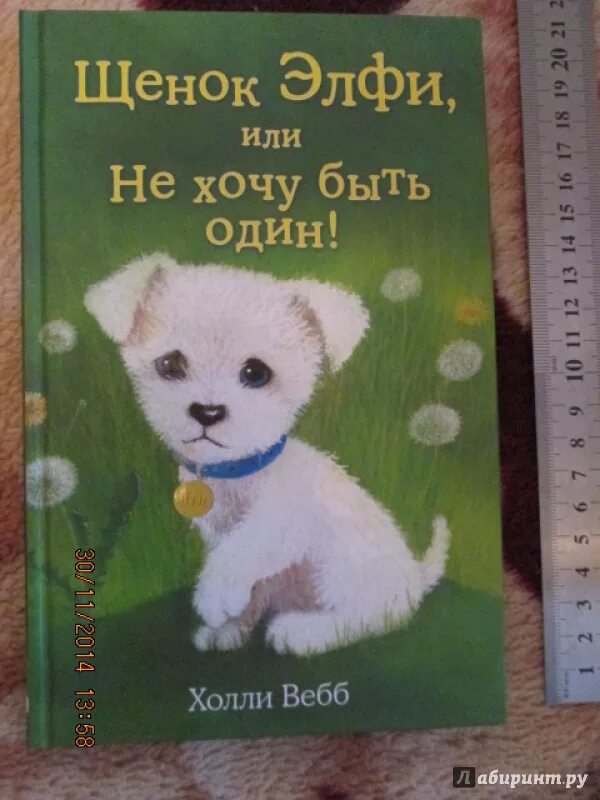 Книга щенок. Холли вебб. х.вебб щенок молли. холли вебб щенок. холли вебб книги.