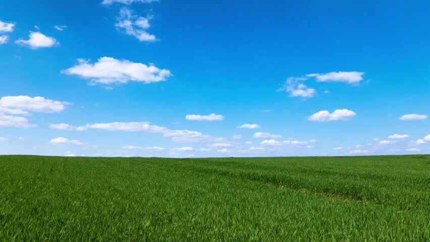 Clear grass. Grass Land and Sky. Неба газон фоын. Green fields and Blue Sky Lake. Green field with Path.