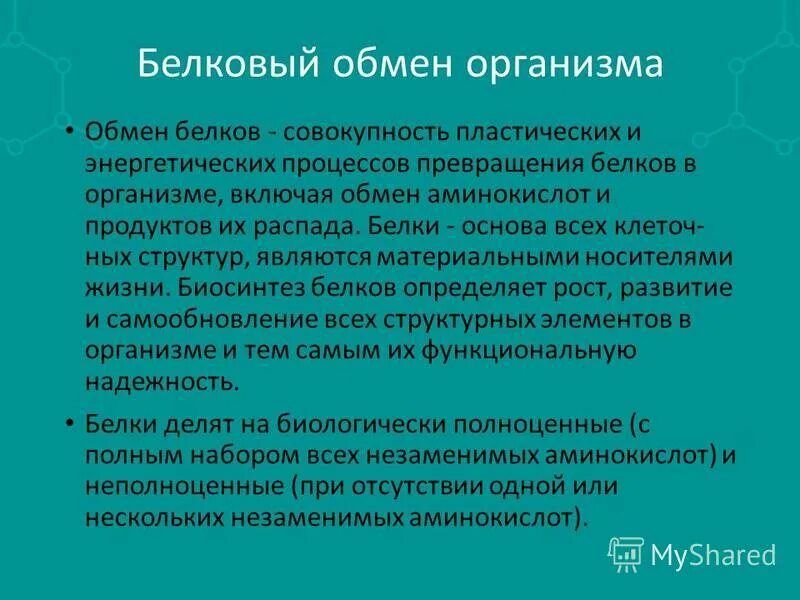 Белковый обмен в организме. Исследование белкового обмена. Обмен белков при мышечной деятельности. Обмен белков это совокупность.