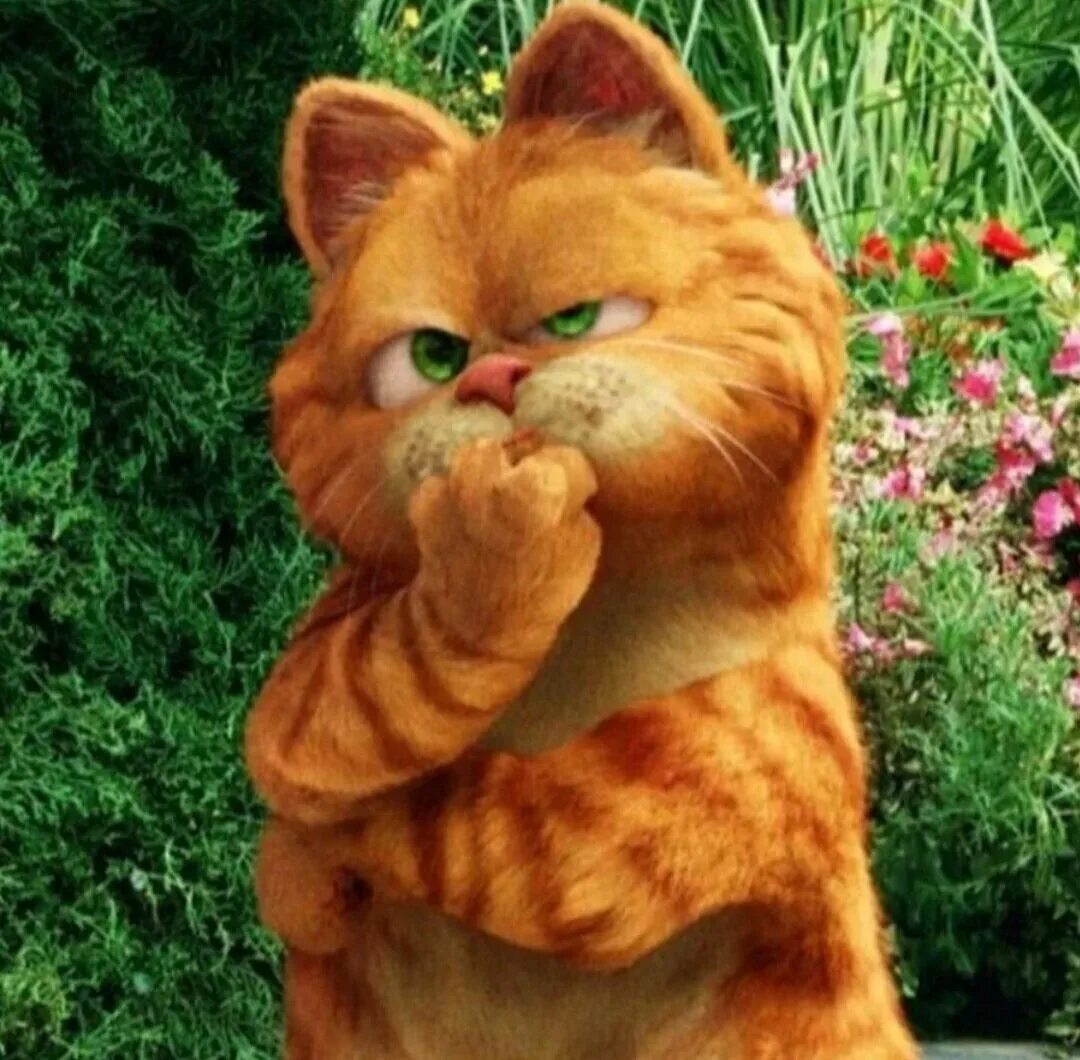 Кот Гарфилд 1. Кот из мультфильма. Гарфилд на аву. Рыжий гарфилд