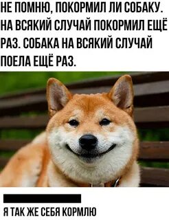 Что значит на всякий случай