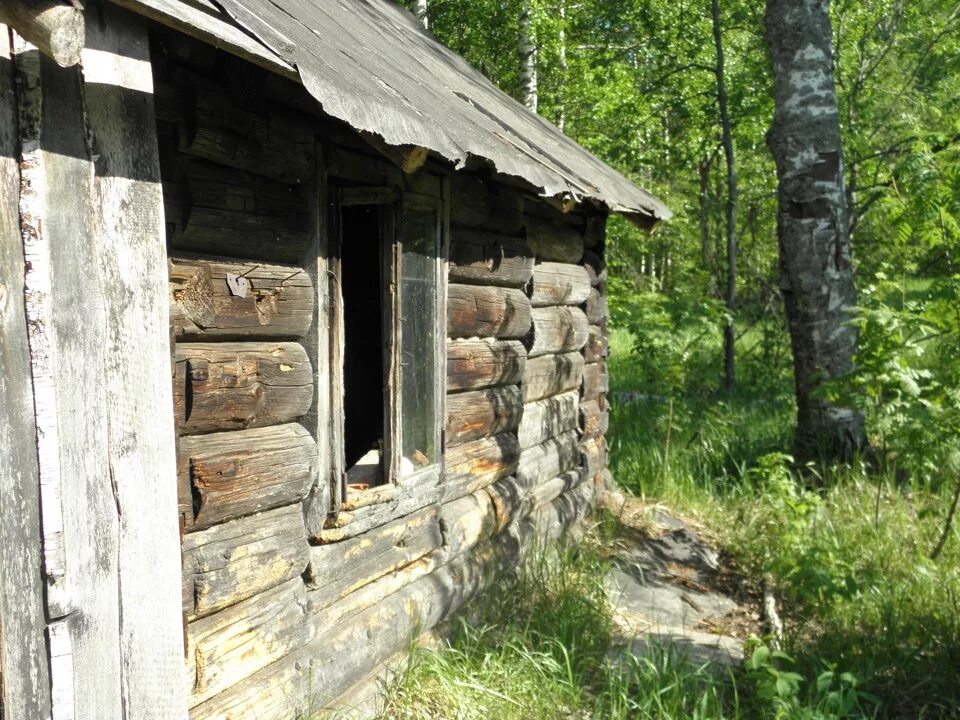 Унжлаг. ГУЛАГ Унжлаг Костромская. Унжлаг ГУЛАГ. Унжлаг Нижегородской. Унженский ИТЛ.