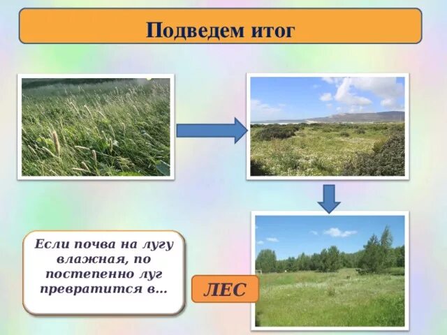 Экосистема луг для дошкольников. Луговая почва. Экосистема Луга почва. Экосистема Луга 3 класс окружающий мир. Прогноз 3 луга