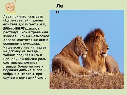 Лев рассказ 1 класс окружающий