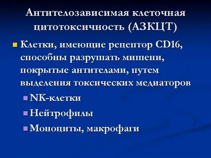 Цитотоксичность