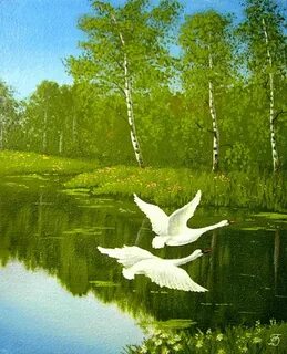 Песня лебеди летят