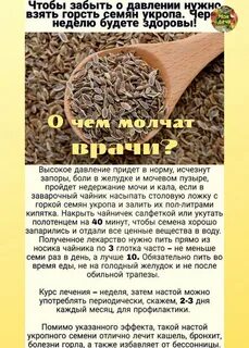 Чем полезен отвар семян укропа