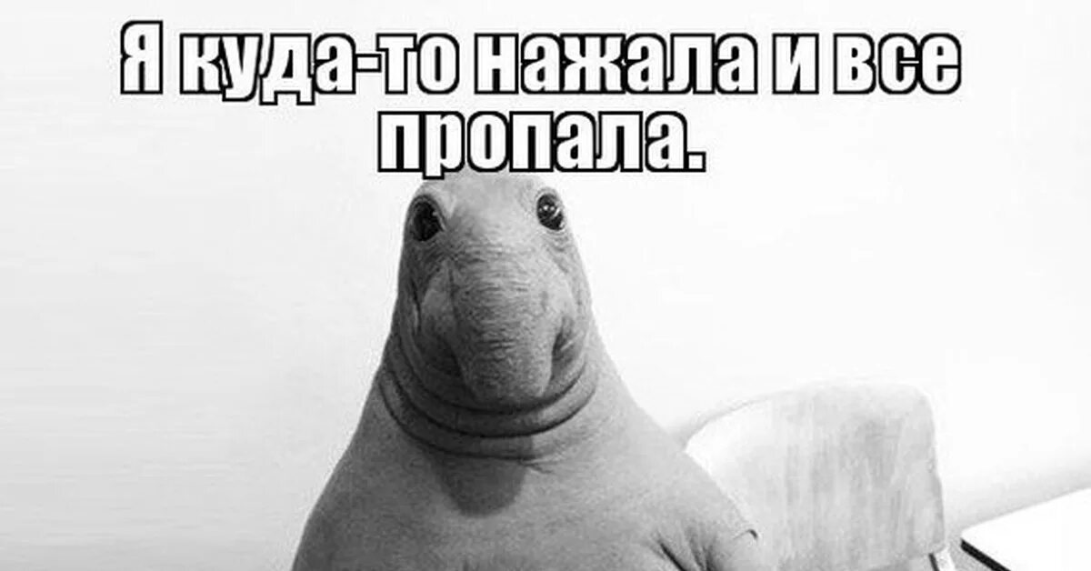 Я что-то нажала и все. Оно само сломалось Ждун. Ждун я что то нажала. Не пойду к психологу.