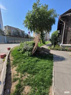 Green екатеринбург