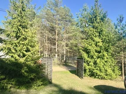 Рощино санкт петербург