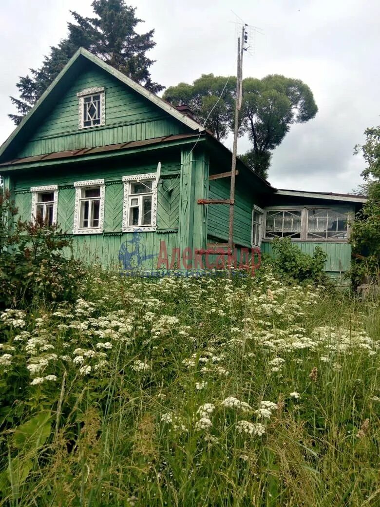 Дома в малой вишере новгородской области. Оксочи Новгородская область. Малая Вишера Оксочи. Малая Вишера деревня. Станция Оксочи Новгородская область.