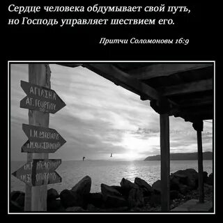 Обдумай свой путь