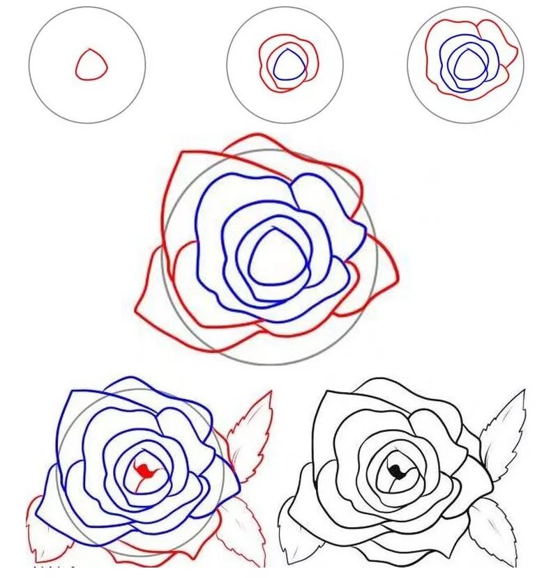Как нарисовать цветы поэтапно для начинающих. Простые цветы для рисования. Пошаговое рисование розы. Схема рисования розы карандашом. Поэтапное рисование розы карандашом.