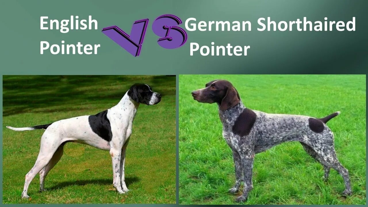 C pointer comparison