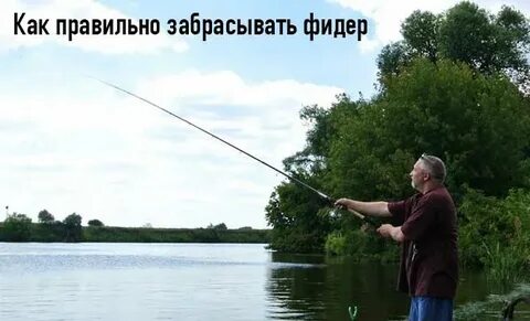 Заброс фидером
