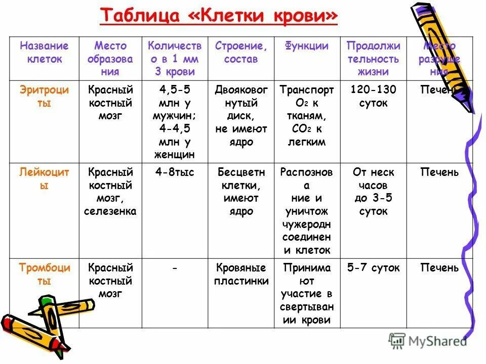 Количество в 1 мм3