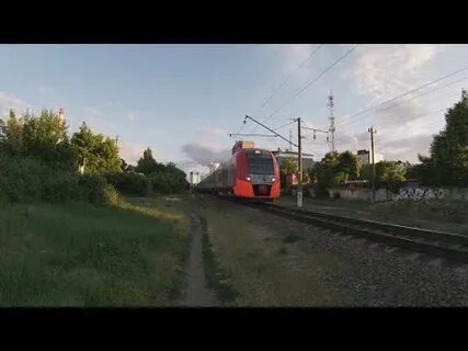 Ласточка староминская